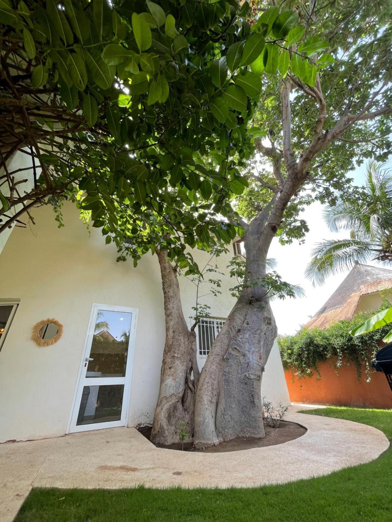 Agence Adjana Resort - Residence Du Port 3 Sali Tapé Zewnętrze zdjęcie